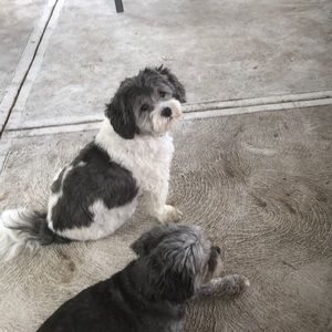 Meet your Posher, Ivy-lou